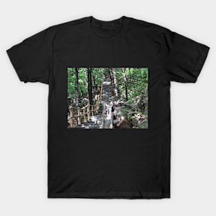 Pathways Collection 1 T-Shirt